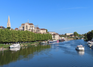 Lutte contre les nuisibles Saint-Étienne